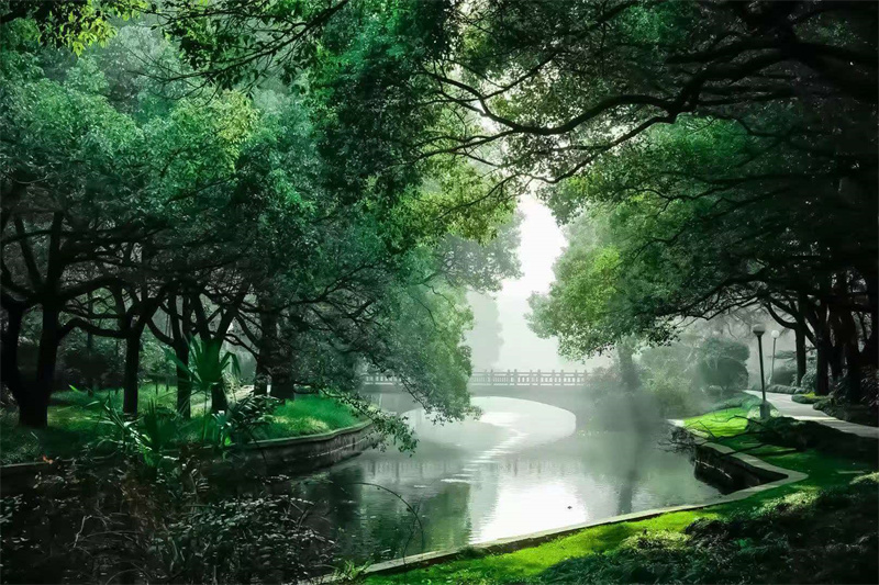 景观
