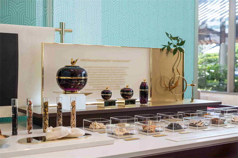 4-THE WHOO后品牌艺术空间---凝颜致臻系列展台