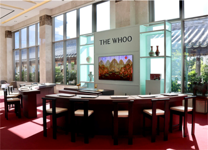 5-THE WHOO后品牌艺术空间---艺术休憩区