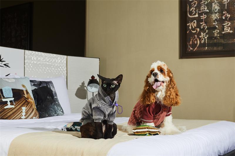 Pawfashion37