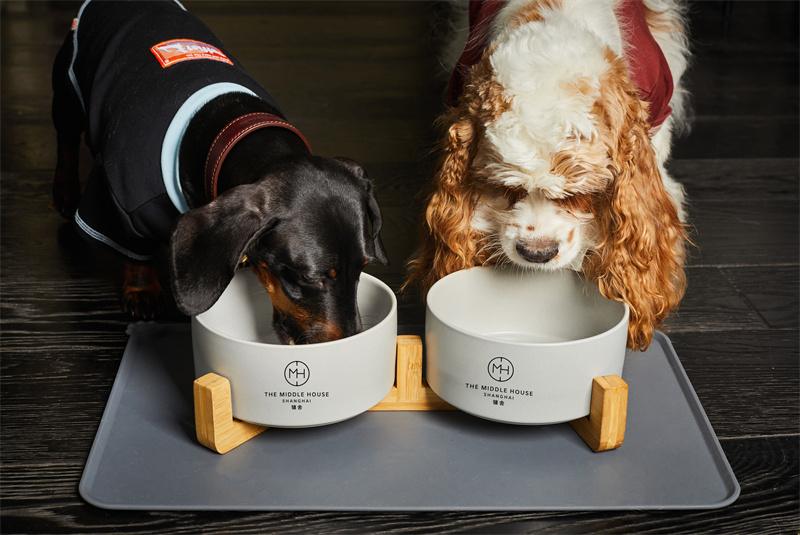 Pawfashion_bowl