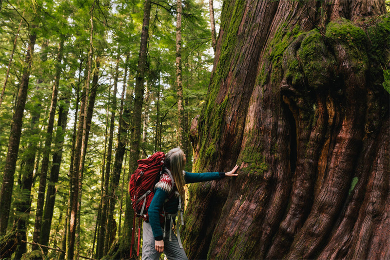 斯科特角省立公园 ©Vancouver Island North Tourism，Jordan Dyck
