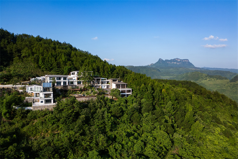 DJI_0420