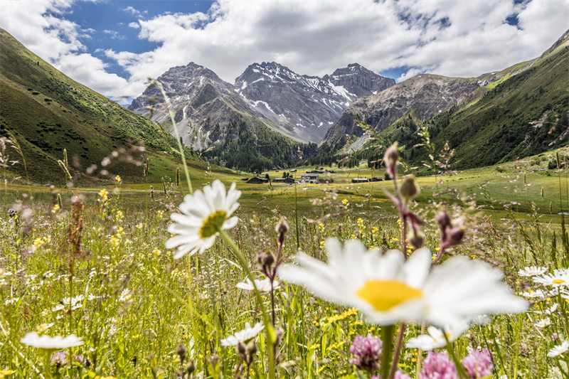 Davos_Sommer ©Destination Davos Klosters, Andrea Badrutt