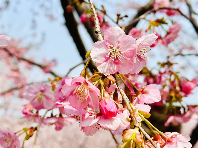 微信图片_20250321161948