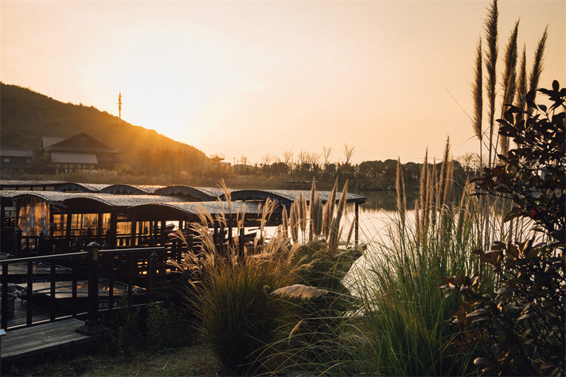 拈花湾-摄图网_501165756_日落时分的无锡拈花湾小镇(企业商用)