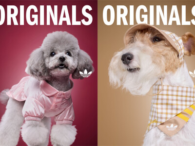 adidas Originals SS2026 pet wear collection 阿迪达斯三叶草2026春夏季宠物服饰系列 (2)_副本