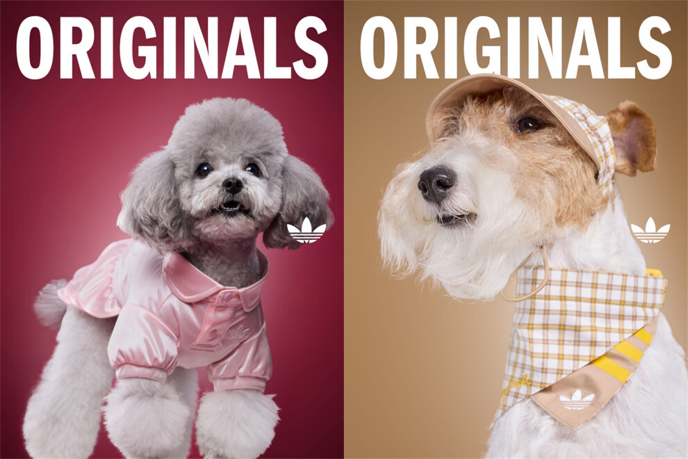adidas Originals SS2026 pet wear collection 阿迪达斯三叶草2026春夏季宠物服饰系列 (2)_副本