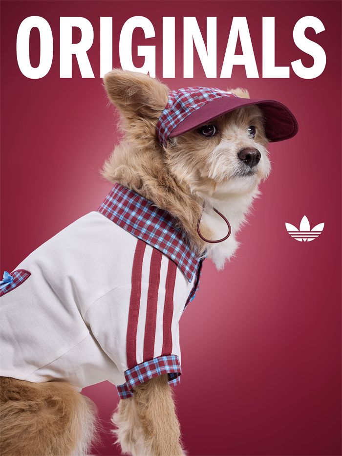 adidas Originals SS2026 pet wear collection 阿迪达斯三叶草2026春夏季宠物服饰系列 (3)