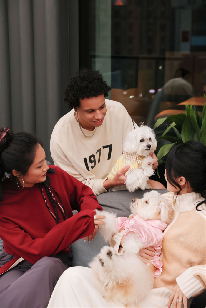 人宠共潮 People and Paws (10)